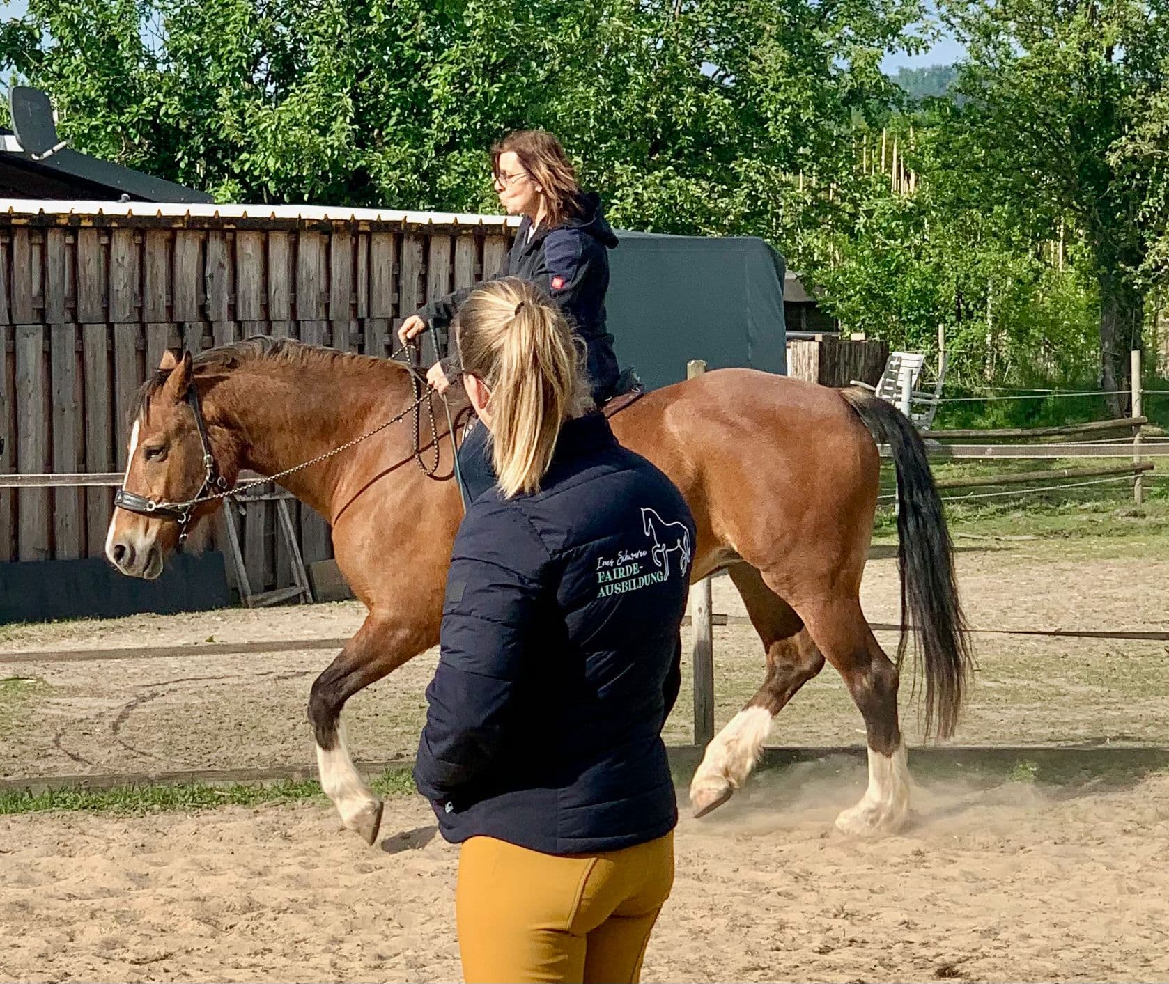 Reitstunde mit Reittrainerin Ines Schwarze